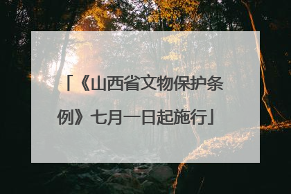 《山西省文物保护条例》七月一日起施行