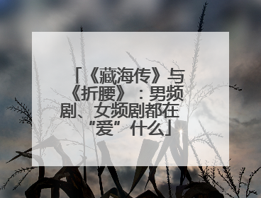 《藏海传》与《折腰》：男频剧、女频剧都在“爱”什么