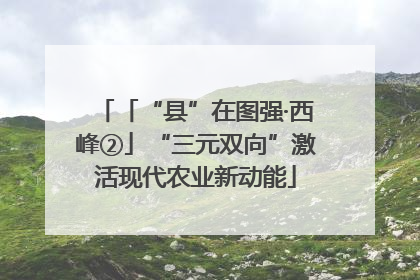 「“县”在图强·西峰②」“三元双向”激活现代农业新动能