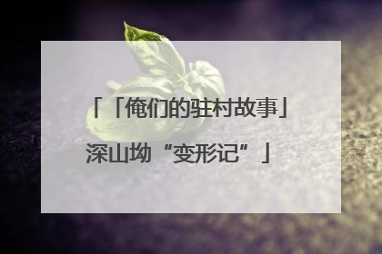 「俺们的驻村故事」深山坳“变形记”