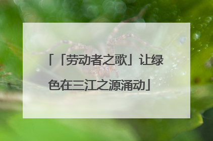 「劳动者之歌」让绿色在三江之源涌动