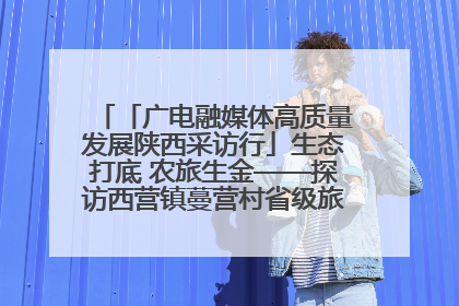 「广电融媒体高质量发展陕西采访行」生态打底 农旅生金——探访西营镇蔓营村省级旅游示范村的振兴密码