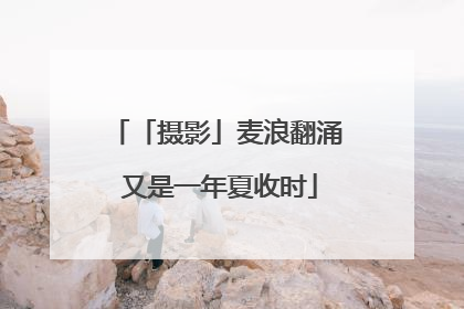 「摄影」麦浪翻涌 又是一年夏收时