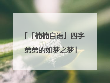 「楠楠自语」四字弟弟的如梦之梦
