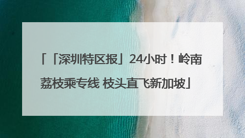 「深圳特区报」24小时！岭南荔枝乘专线 枝头直飞新加坡