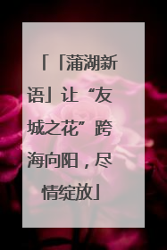 「蒲湖新语」让“友城之花”跨海向阳，尽情绽放