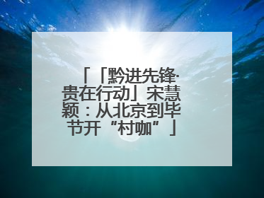 「黔进先锋·贵在行动」宋慧颖：从北京到毕节开“村咖”