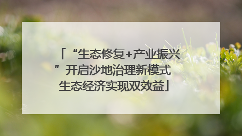 “生态修复+产业振兴”开启沙地治理新模式 生态经济实现双效益
