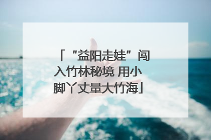 “益阳走娃”闯入竹林秘境 用小脚丫丈量大竹海