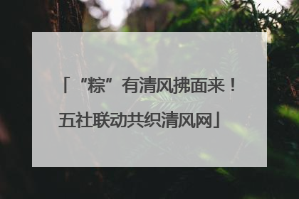 “粽”有清风拂面来！五社联动共织清风网