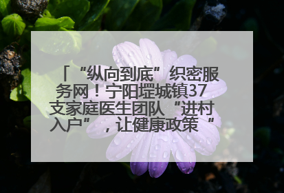 “纵向到底”织密服务网！宁阳堽城镇37支家庭医生团队“进村入户”，让健康政策“落地生根”