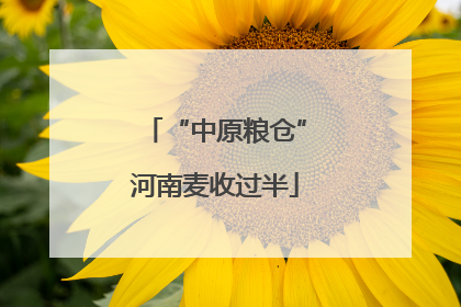 “中原粮仓”河南麦收过半