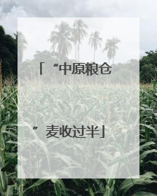 “中原粮仓”麦收过半