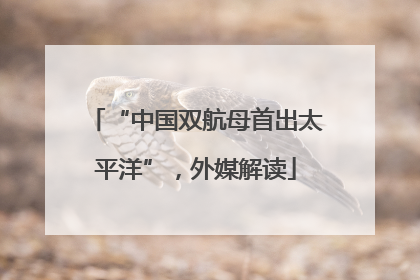 “中国双航母首出太平洋”，外媒解读
