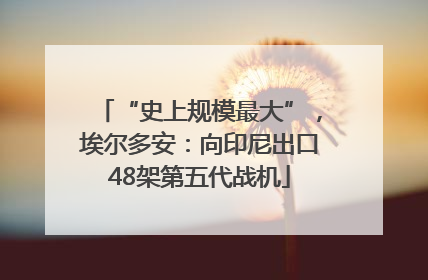 “史上规模最大”，埃尔多安：向印尼出口48架第五代战机