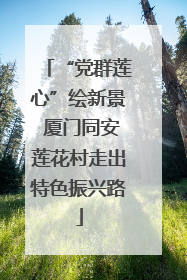 “党群莲心”绘新景 厦门同安莲花村走出特色振兴路