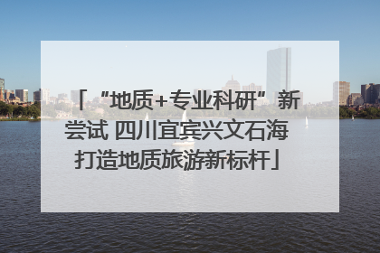 “地质+专业科研”新尝试 四川宜宾兴文石海打造地质旅游新标杆