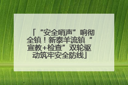 “安全哨声”响彻全镇！新泰羊流镇“宣教+检查”双轮驱动筑牢安全防线