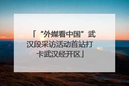 “外媒看中国”武汉段采访活动首站打卡武汉经开区