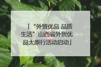 “外贸优品 品质生活”山西省外贸优品太原行活动启动
