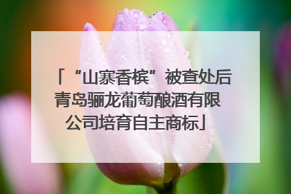 “山寨香槟”被查处后 青岛骊龙葡萄酿酒有限公司培育自主商标