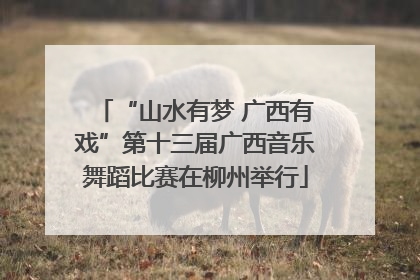 “山水有梦 广西有戏”第十三届广西音乐舞蹈比赛在柳州举行