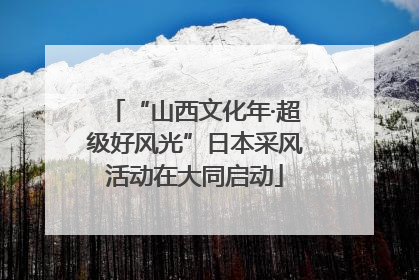 “山西文化年·超级好风光”日本采风活动在大同启动