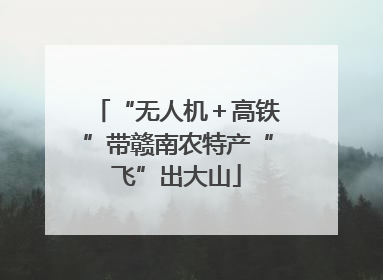“无人机＋高铁”带赣南农特产“飞”出大山