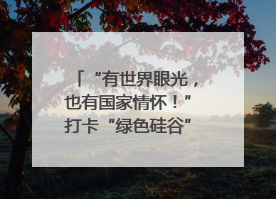“有世界眼光，也有国家情怀！”打卡“绿色硅谷”，博主新解乐山｜网络名人四川行