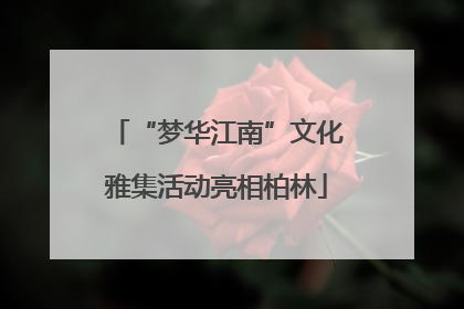 “梦华江南”文化雅集活动亮相柏林