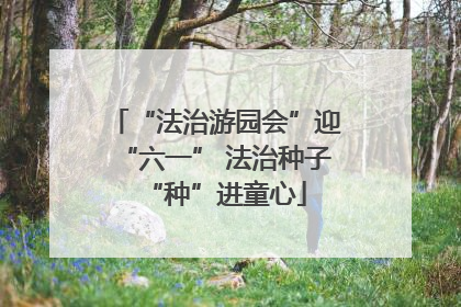 “法治游园会”迎“六一” 法治种子“种”进童心