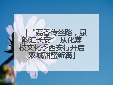 “荔香传丝路，泉韵汇长安” 从化荔枝文化季西安行开启双城甜蜜新篇
