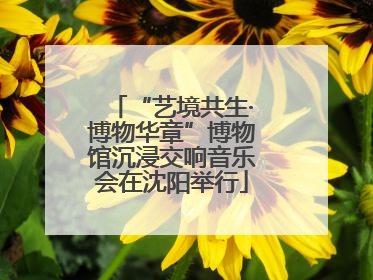 “艺境共生·博物华章”博物馆沉浸交响音乐会在沈阳举行