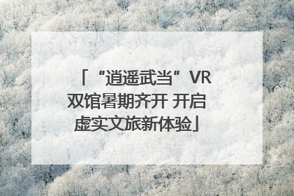 “逍遥武当”VR双馆暑期齐开 开启虚实文旅新体验