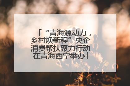 “青海源动力，乡村焕新程”央企消费帮扶聚力行动在青海西宁举办