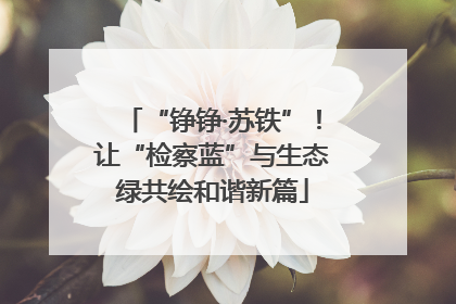 “铮铮·苏铁”！让“检察蓝”与生态绿共绘和谐新篇