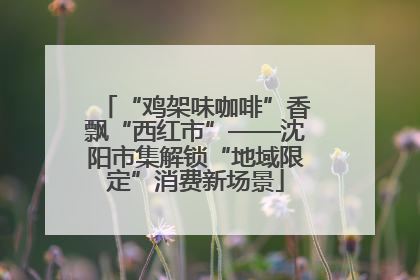 “鸡架味咖啡”香飘“西红市”——沈阳市集解锁“地域限定”消费新场景