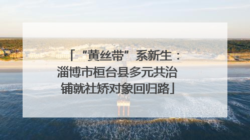 “黄丝带”系新生：淄博市桓台县多元共治铺就社矫对象回归路