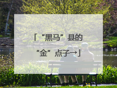 “黑马”县的“金”点子→
