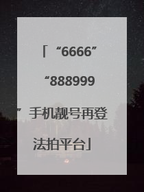 “6666”“888999”手机靓号再登法拍平台