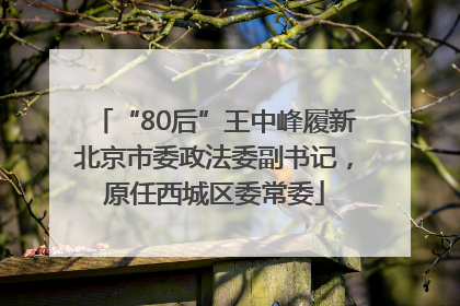 “80后”王中峰履新北京市委政法委副书记，原任西城区委常委