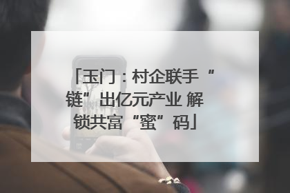 玉门：村企联手“链”出亿元产业 解锁共富“蜜”码