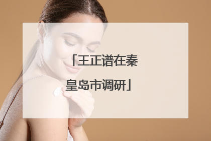 王正谱在秦皇岛市调研