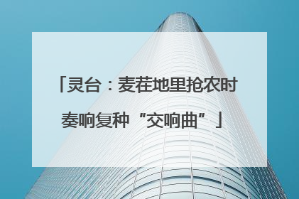 灵台：麦茬地里抢农时 奏响复种“交响曲”