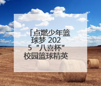 点燃少年篮球梦 2025“八喜杯”校园篮球精英赛圆满收官