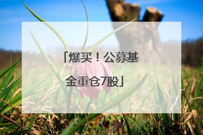 爆买！公募基金重仓7股