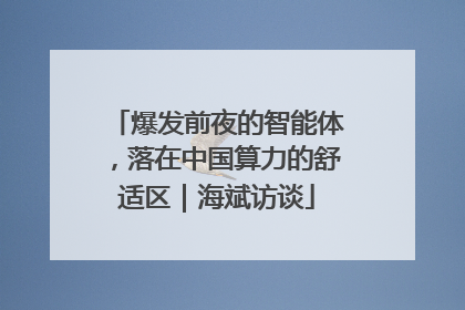 爆发前夜的智能体，落在中国算力的舒适区｜海斌访谈
