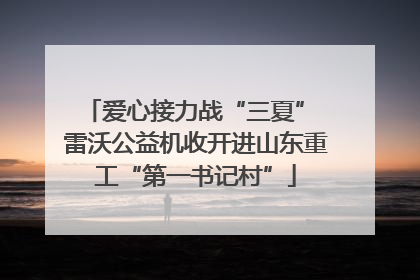 爱心接力战“三夏” 雷沃公益机收开进山东重工“第一书记村”