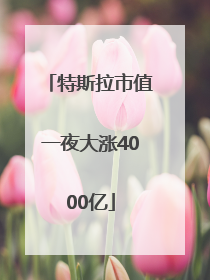 特斯拉市值一夜大涨4000亿