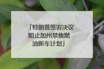特朗普签署决议 阻止加州禁售燃油新车计划